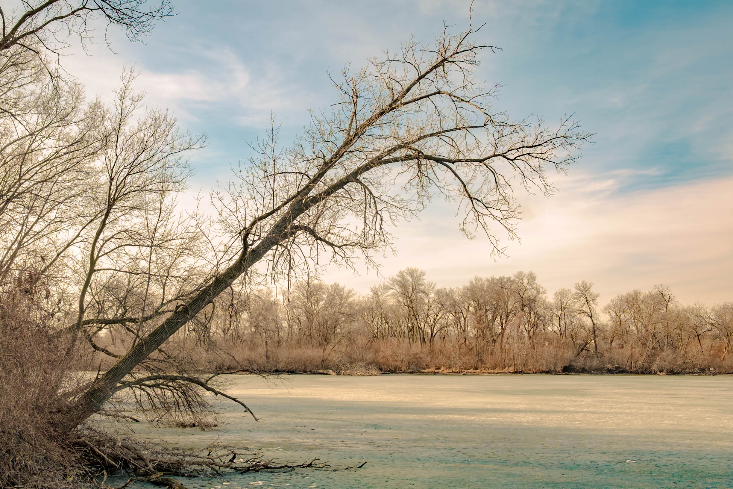 Anticipating Spring
