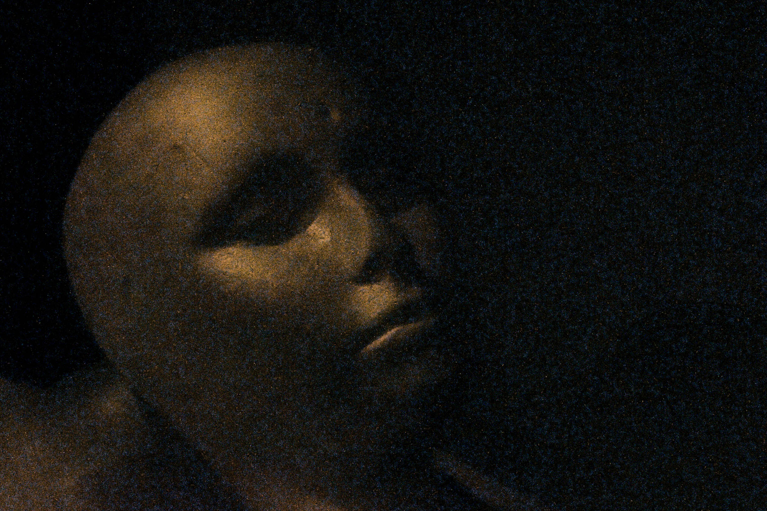 Photographic Print