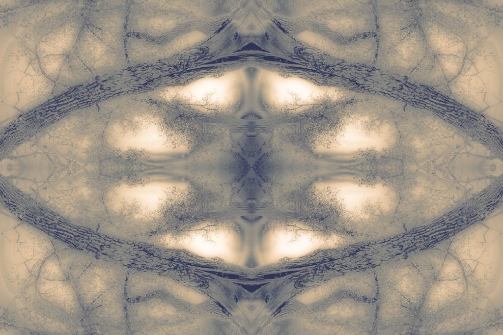 Tree Mandala