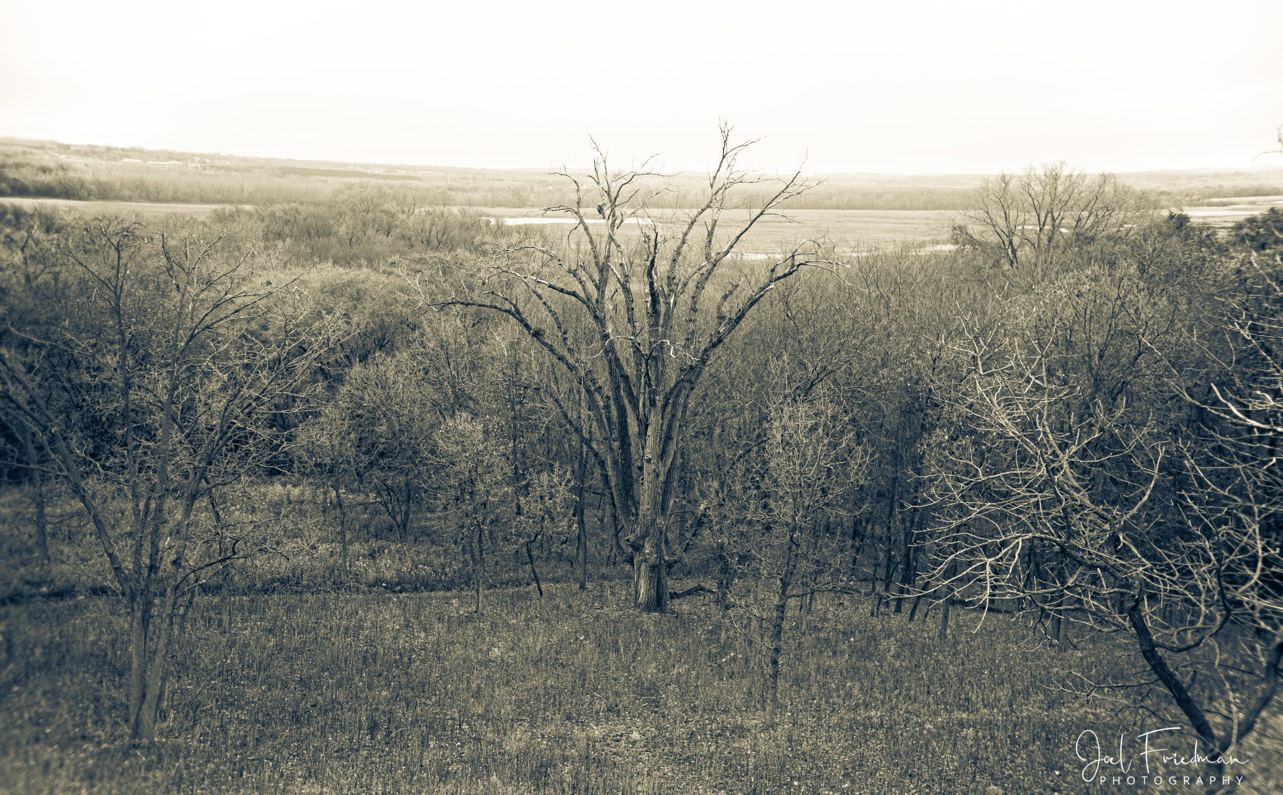Photographic Print