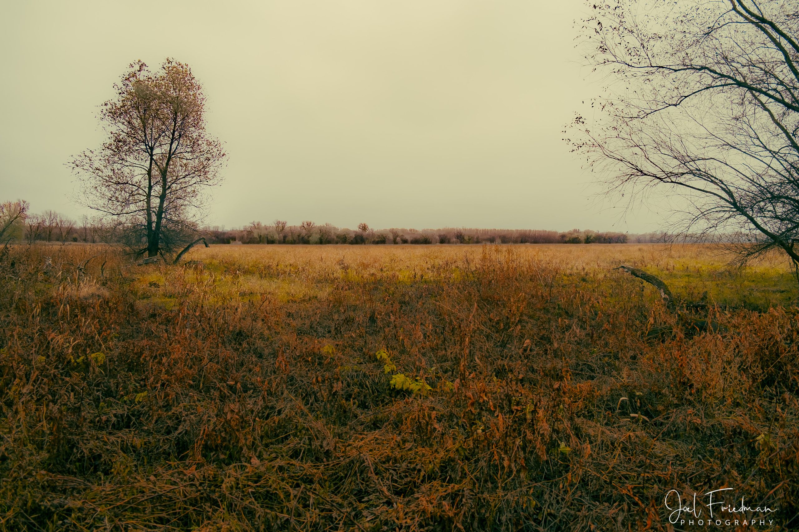Photographic Print