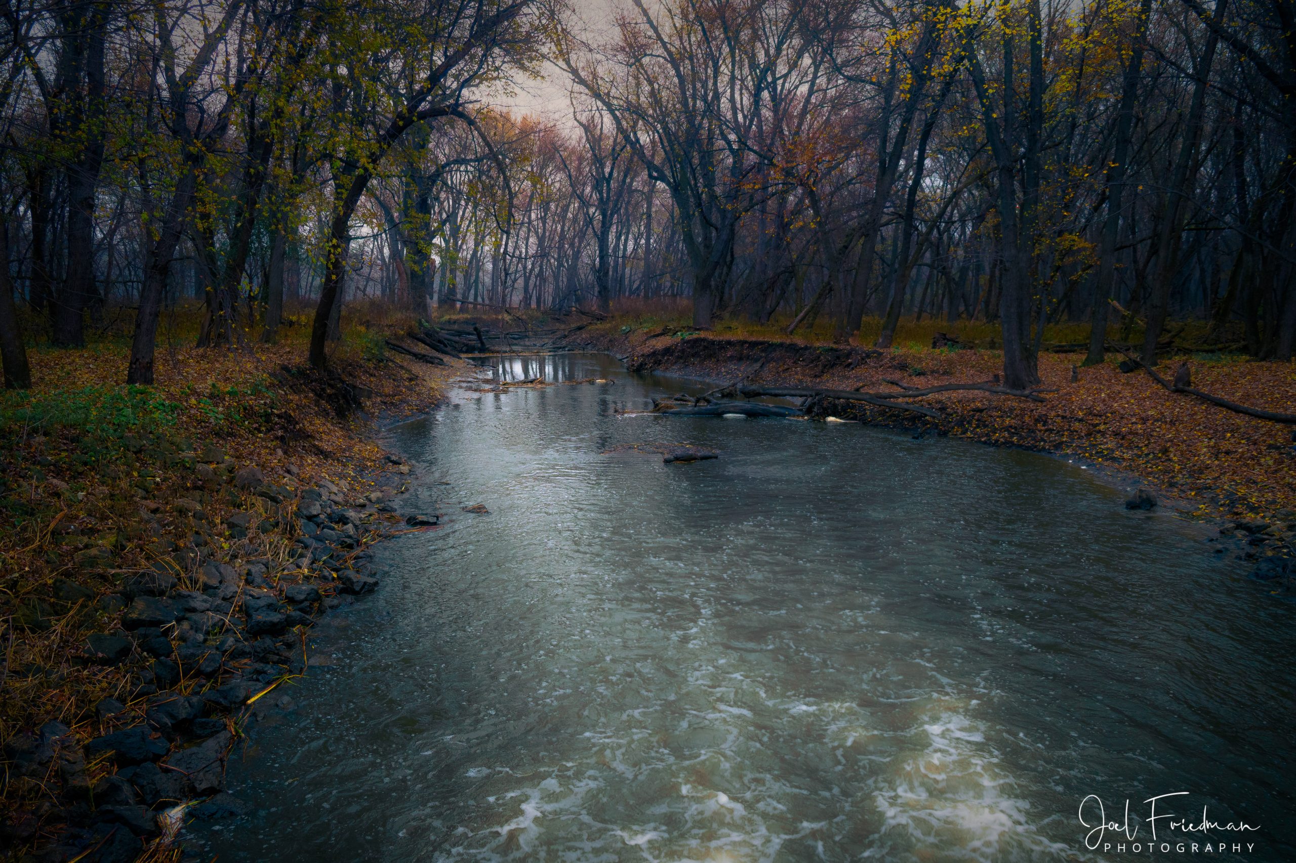 Photographic Print