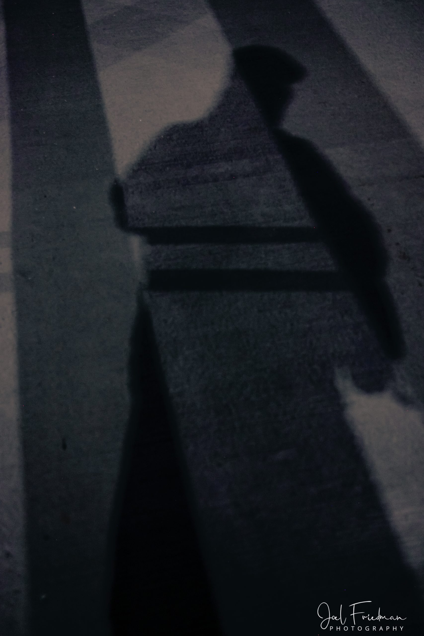 Photographic Print